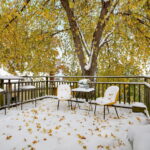 068-1920×1080-photo