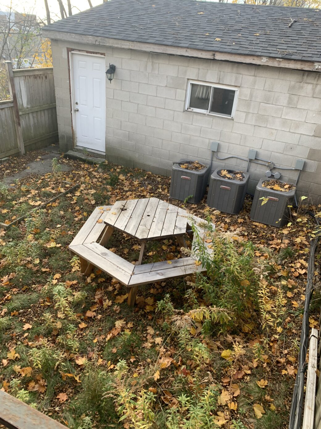 Photo Nov 23, 1 29 14 PM sm