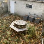 Photo Nov 23, 1 29 14 PM sm