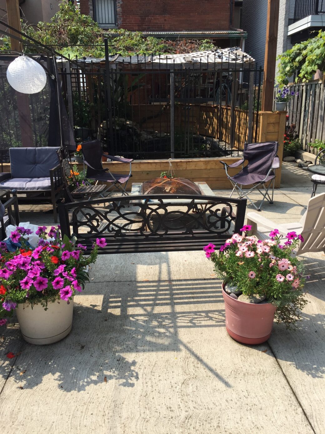 lansdowne backyard pic 1