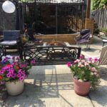 lansdowne backyard pic 1
