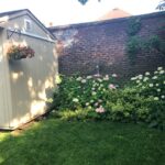 21 harshaw – IMG_5256